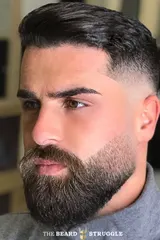 Anil